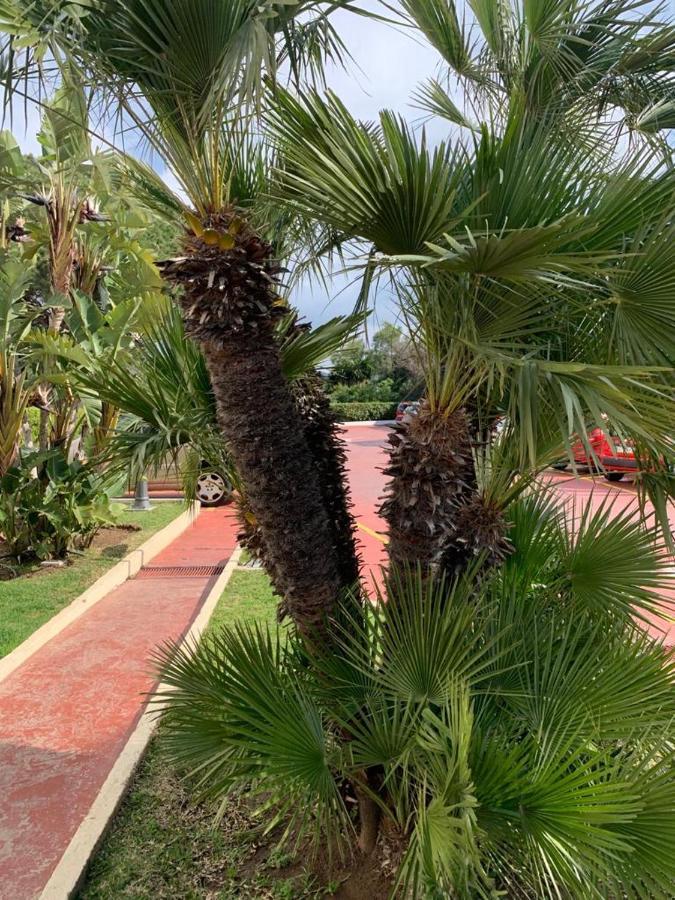 Vue Mer Exceptionnelle, El Rosario Marbella Kültér fotó
